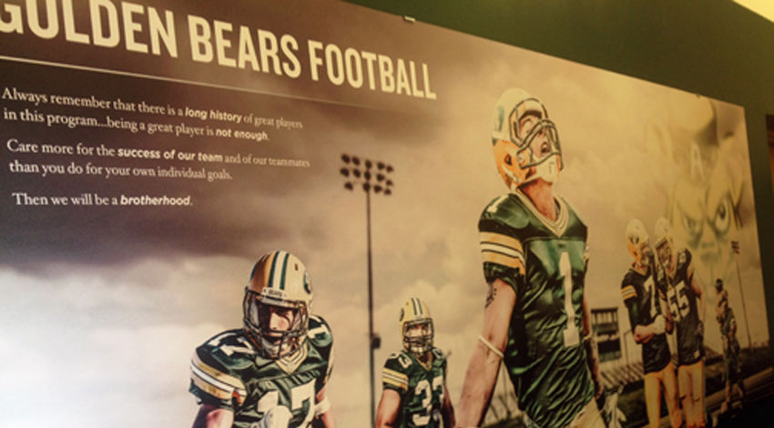 Golden Bears Composite